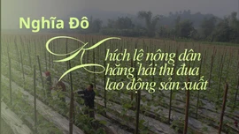 Nghĩa Đô: Khích lệ nông dân hăng hái thi đua lao động sản xuất