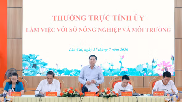 Bí thư Tỉnh ủy Dương Quốc Huy: Xây dựng các vùng sản xuất nông nghiệp hàng hóa gắn với doanh nghiệp, chế biến sâu và thị trường tiêu thụ