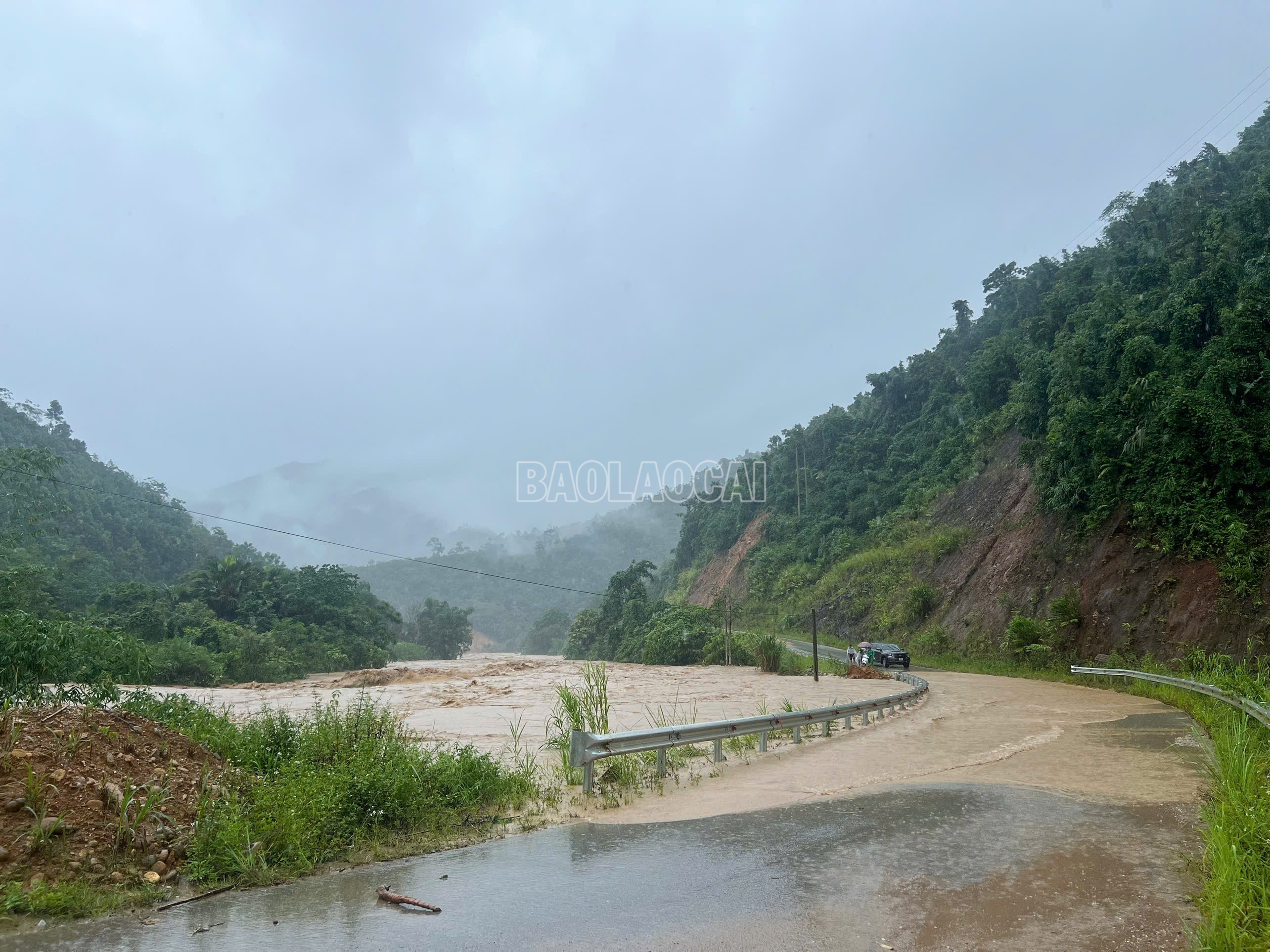 baolaocai-c_img-5950.jpg