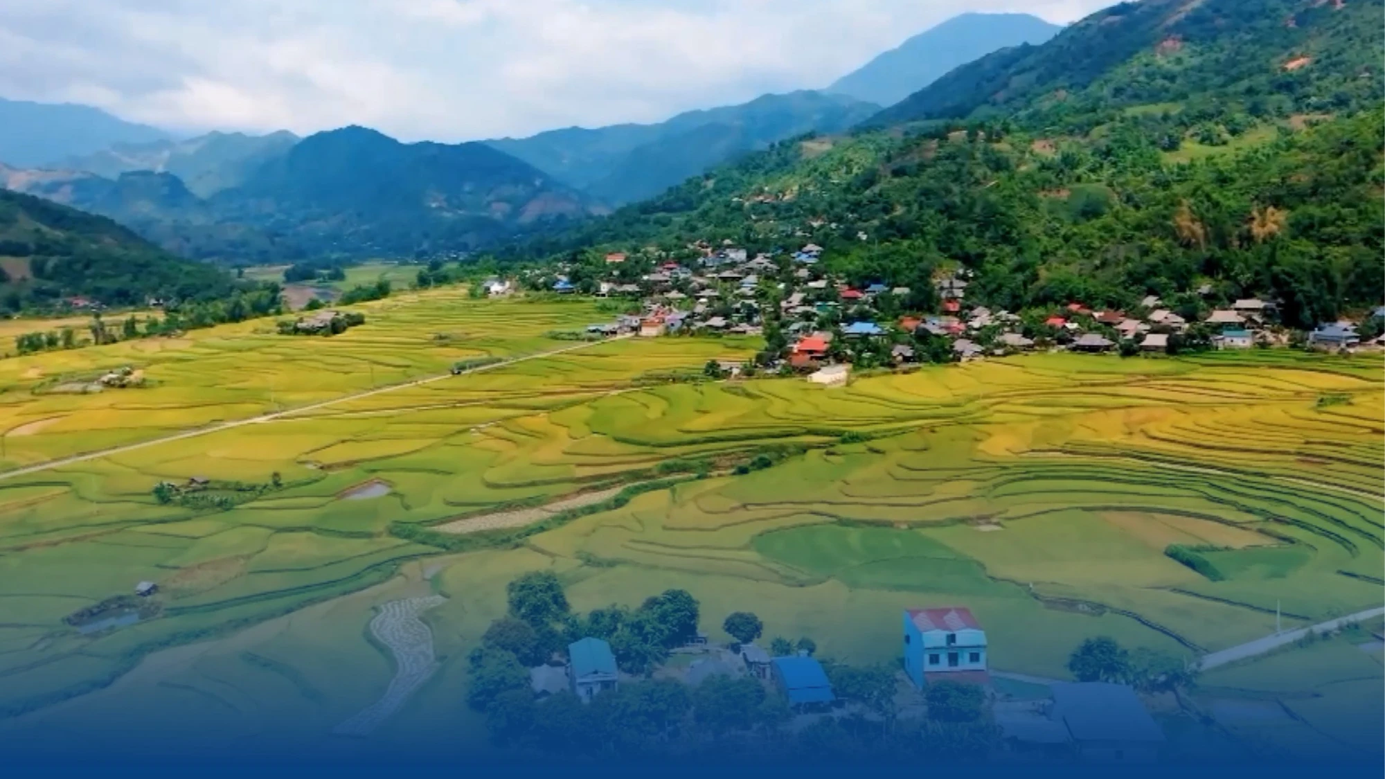 Dương Quỳ sẵn sàng bước vào hành trình mới