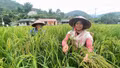 Hội viên phụ nữ xã Tú Lệ phát triển kinh tế.