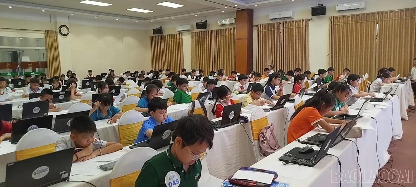 baolaocai-br_672691298-1271578855122163-925674644923051527-n.jpg
