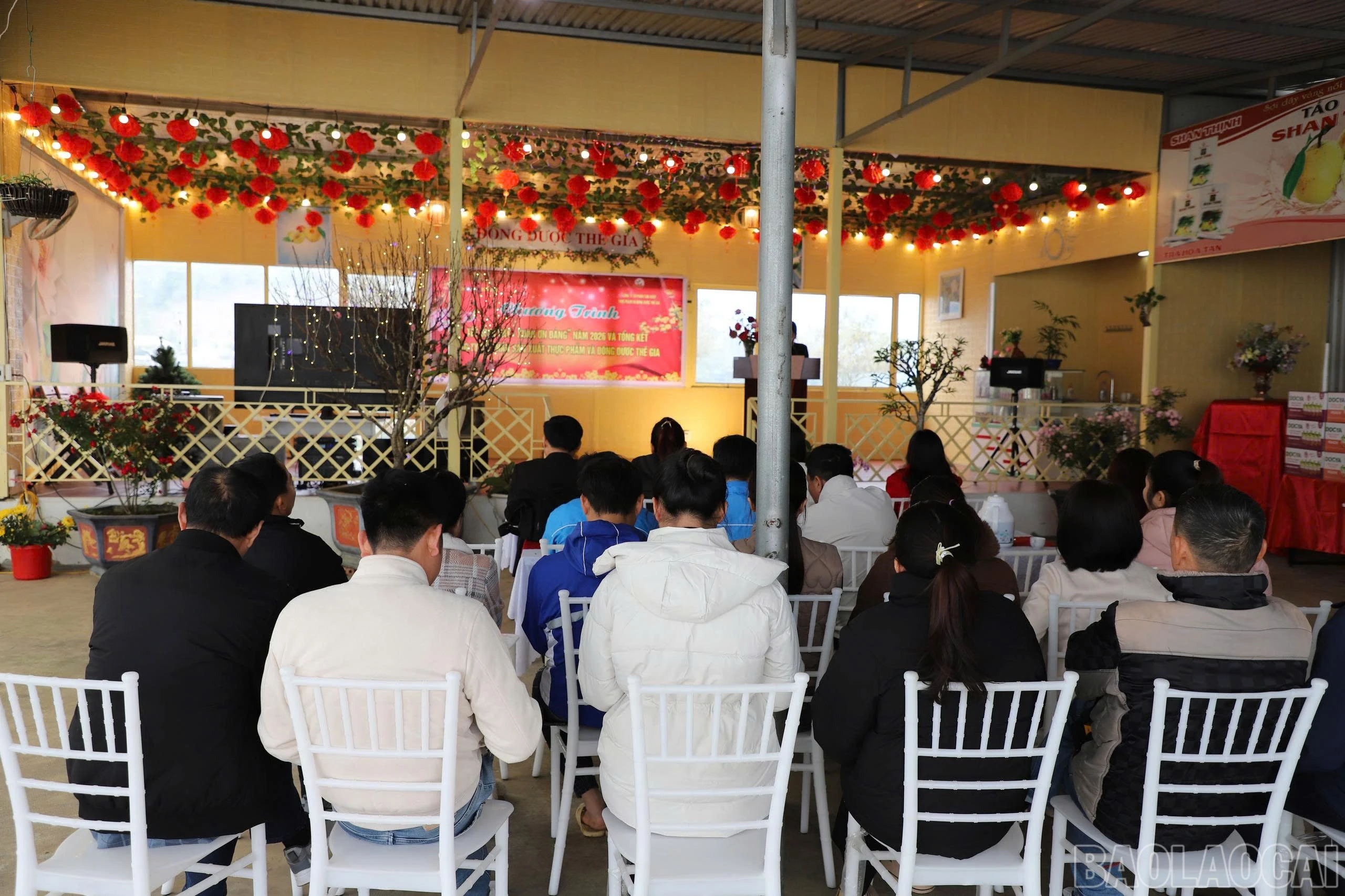baolaocai-br_9103e196d4c75a9903d6.jpg