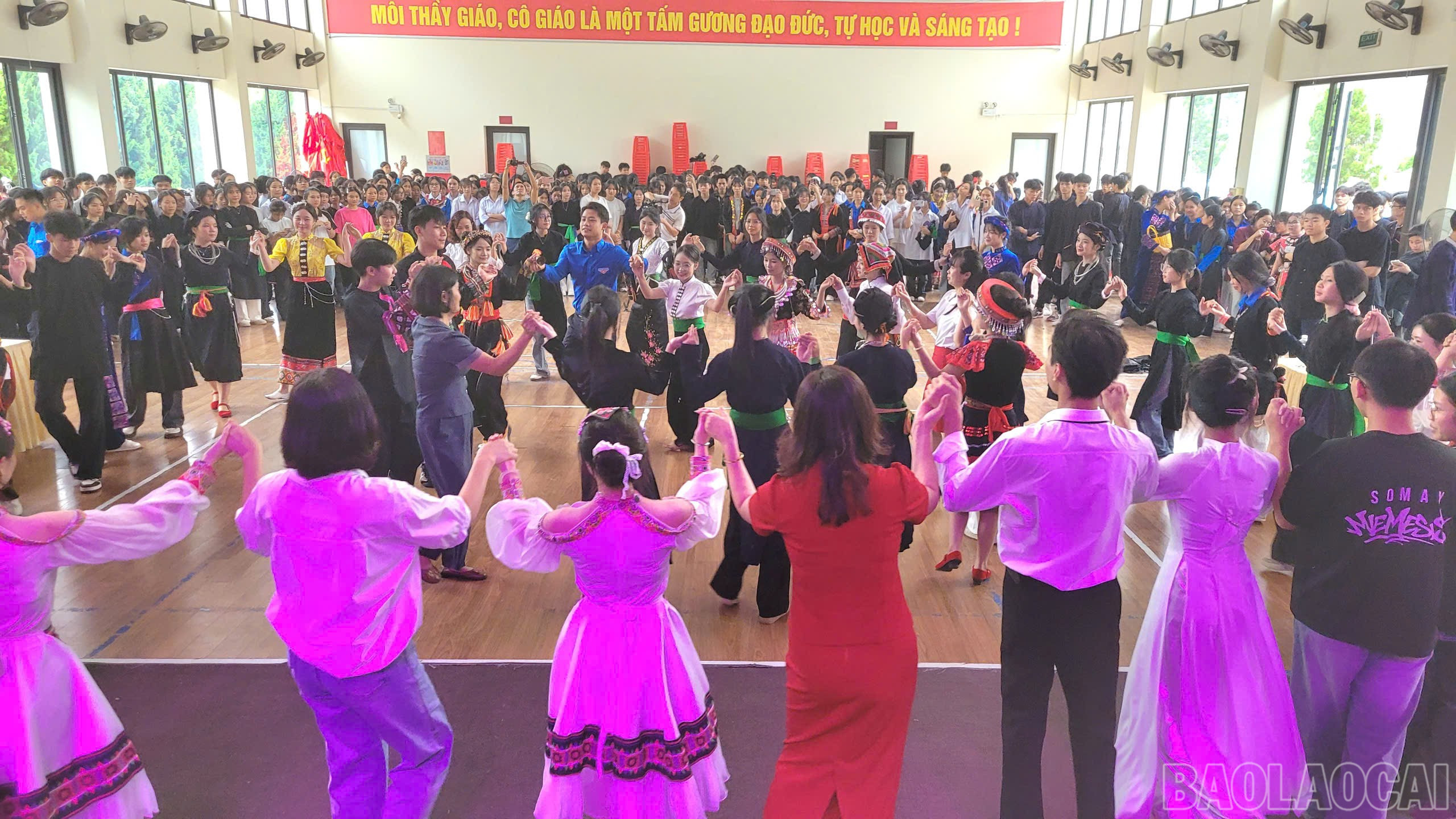 baolaocai-br_9.jpg