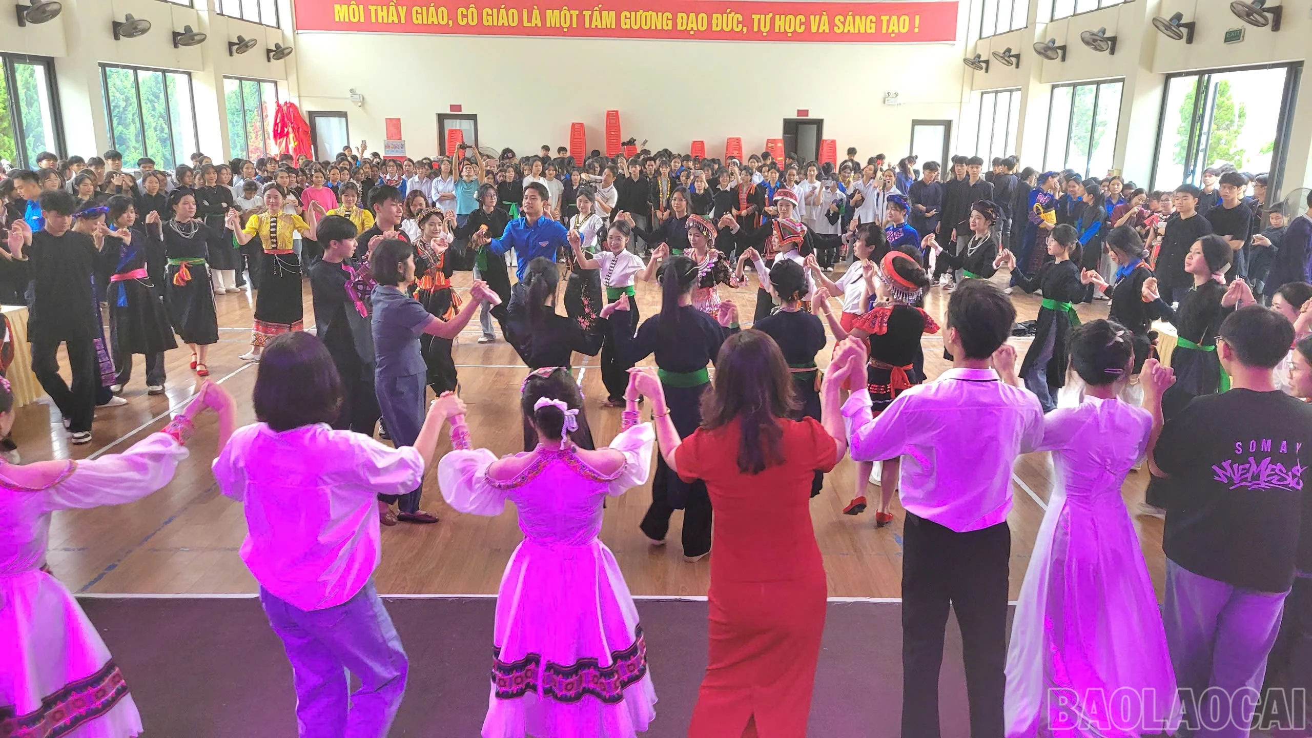 baolaocai-br_9.jpg