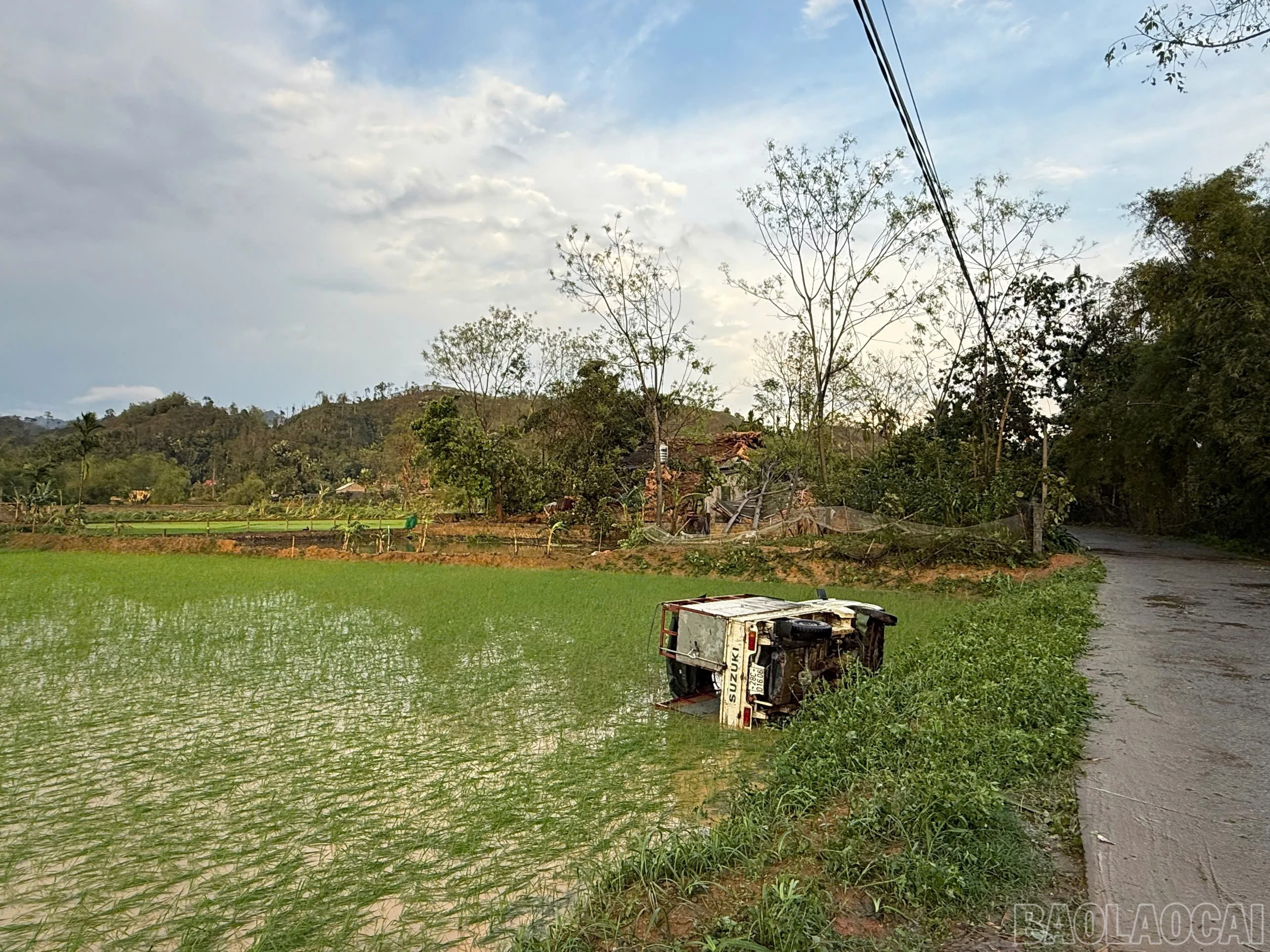 baolaocai-br_1087673877090603083.jpg