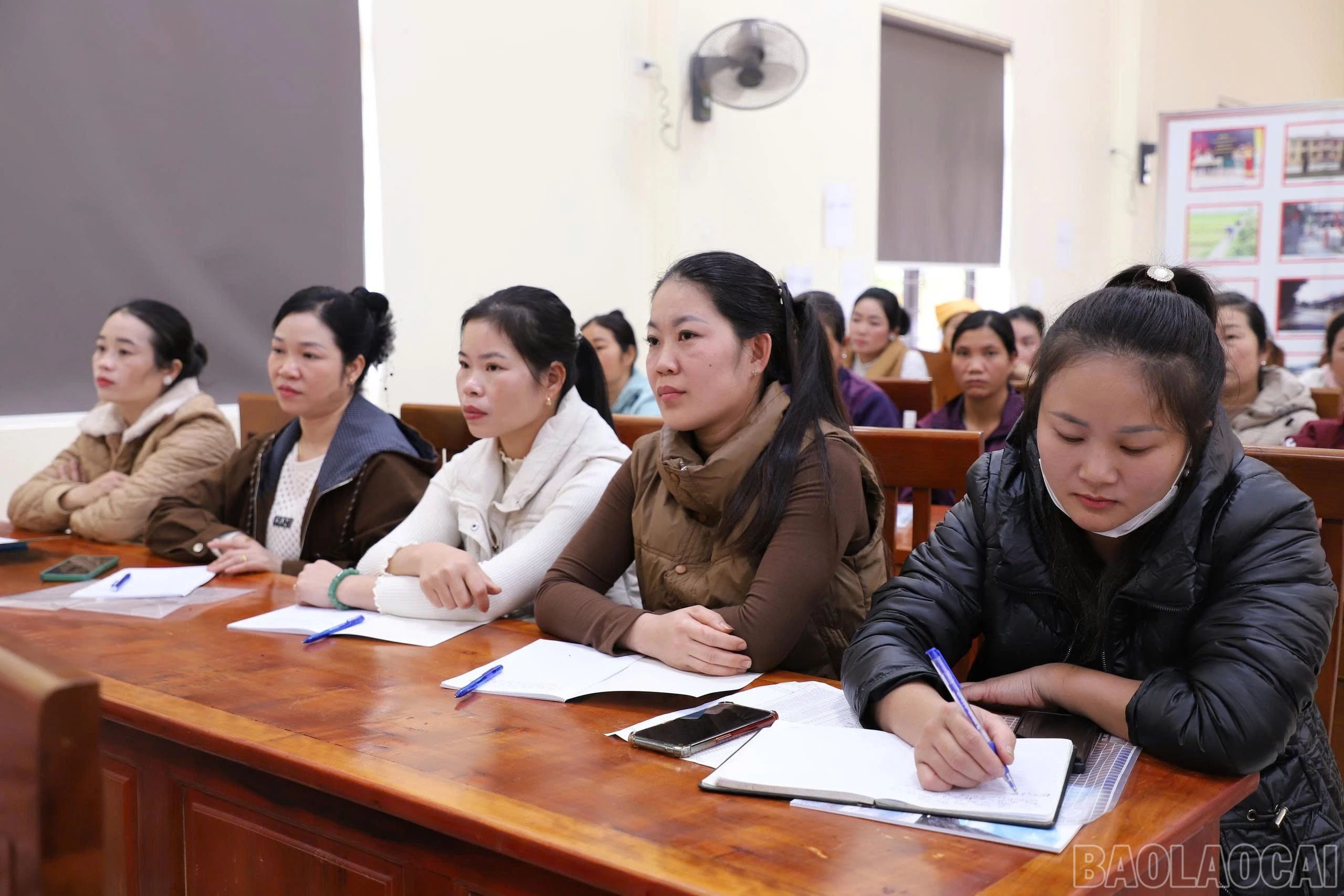 baolaocai-br_z7308619496473-243d7ad6bc921c3a69e3914c428c432e.jpg