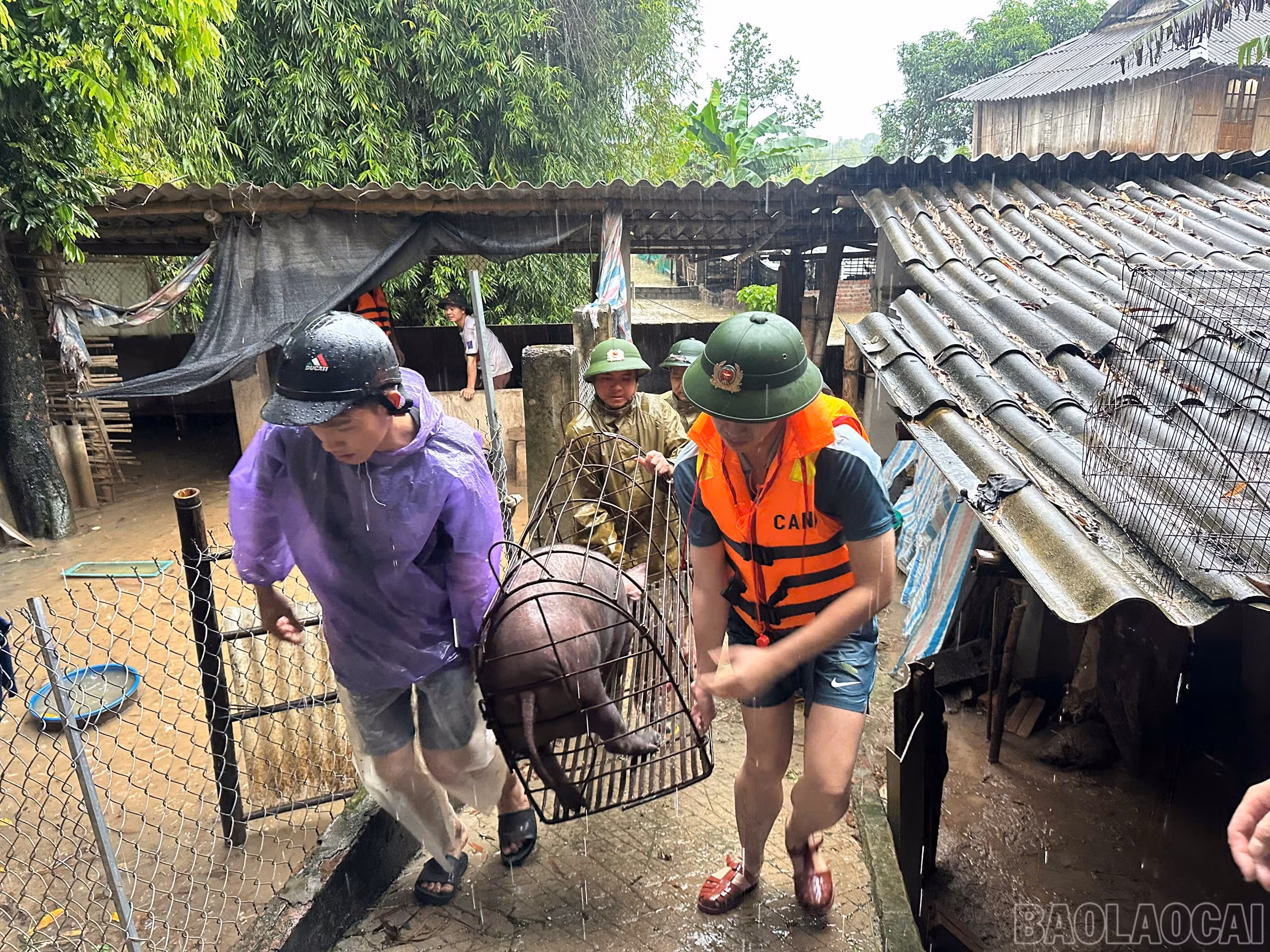 Lực lượng công an hỗ trợ giúp người dân di dời tài sản.