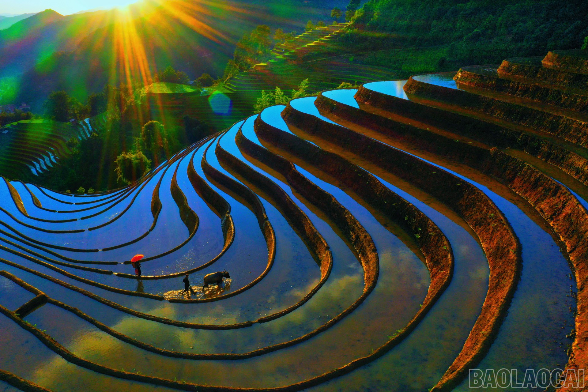 baolaocai-br_dji-0828.jpg