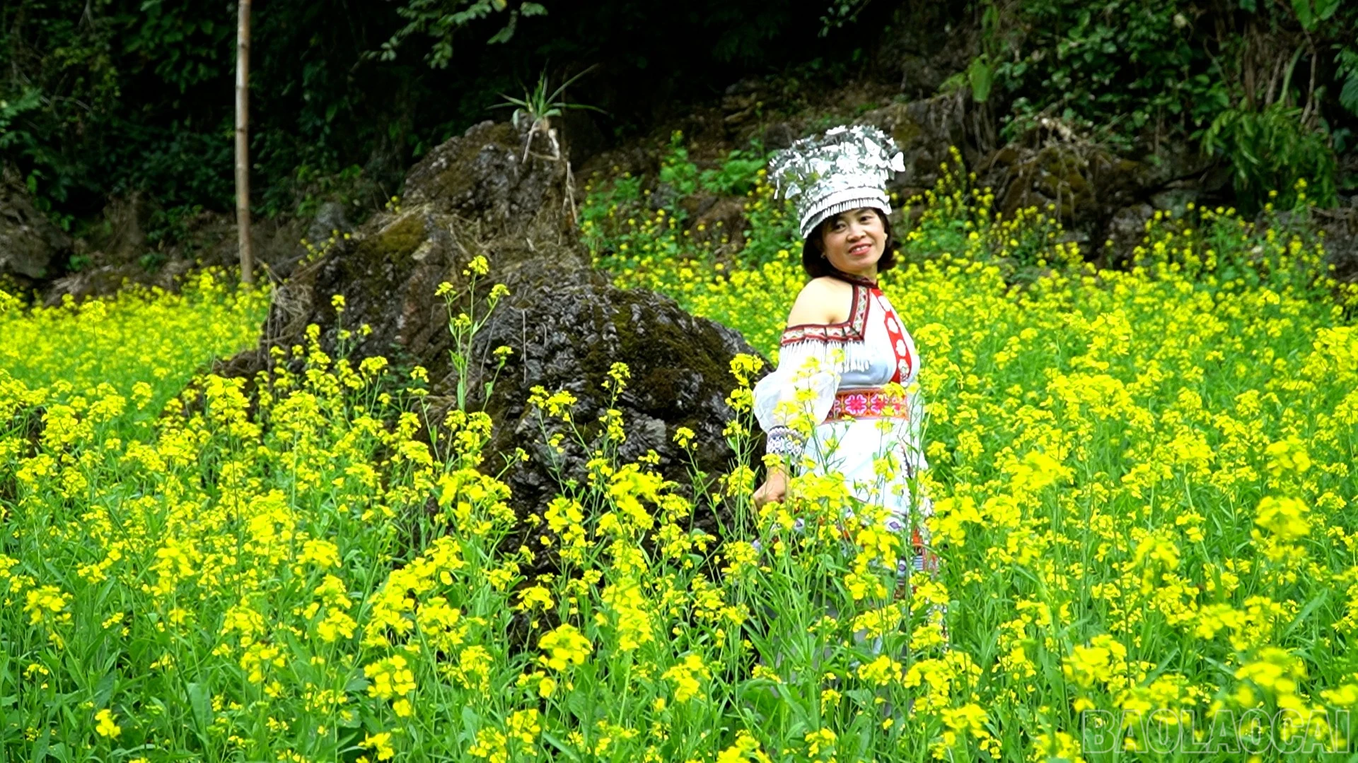 baolaocai-br_chuyen-muc00-00-32-14still074.jpg