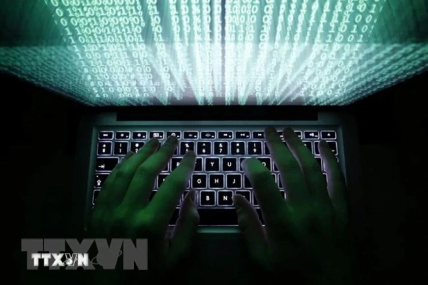 Ảnh minh họa / TTXVN