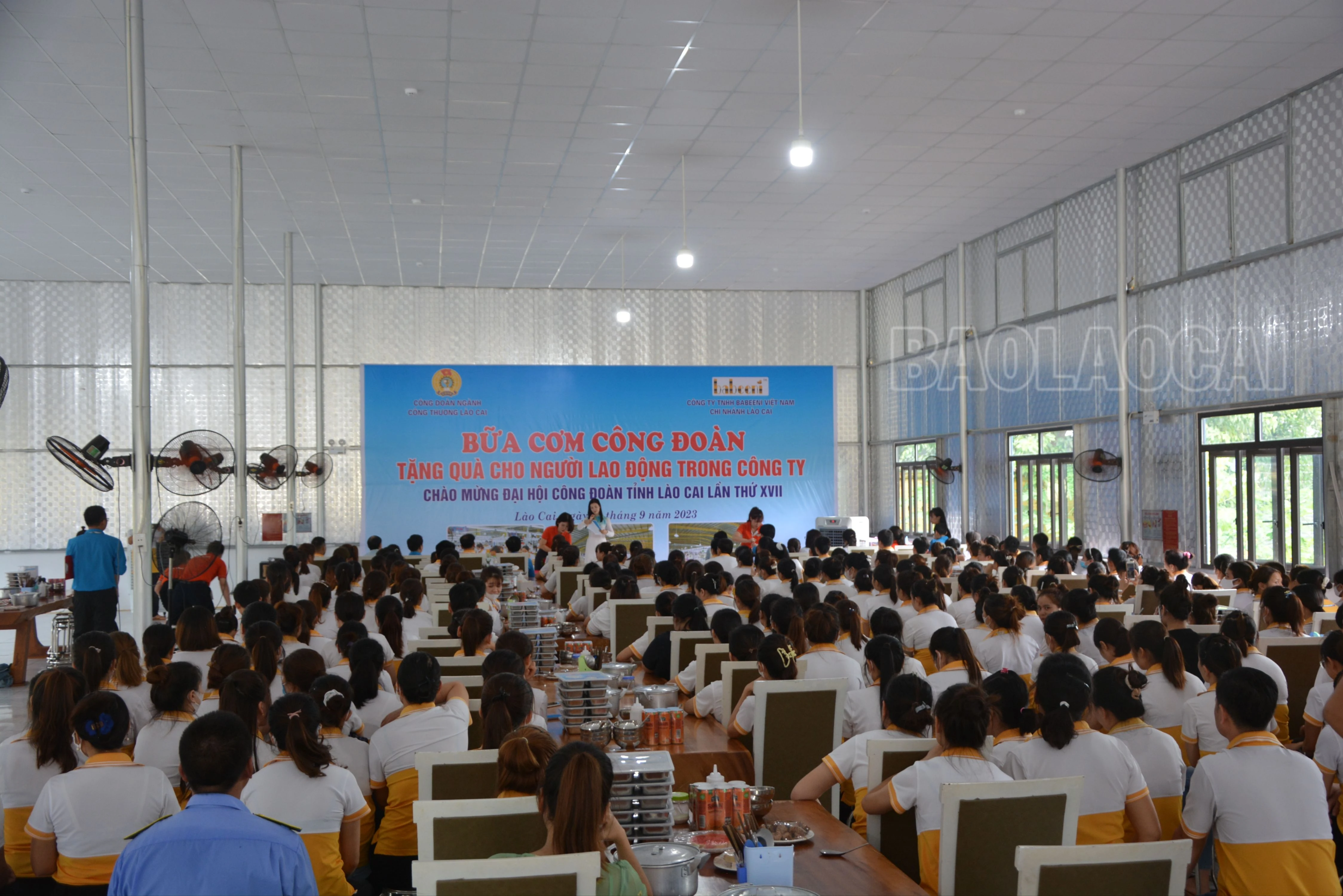 DSC_9103.JPG