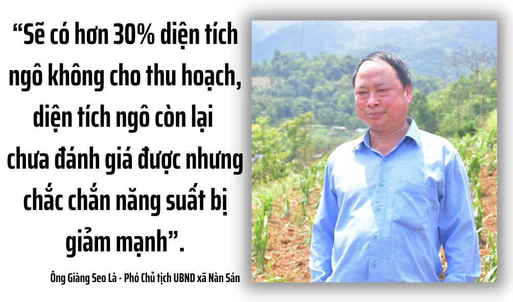 thiet hai si.jpg