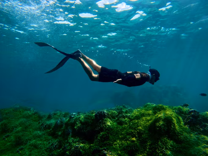Lặn với ống thở và chân vịt ở đảo Phú Quý. Ảnh: Huỳnh Ka