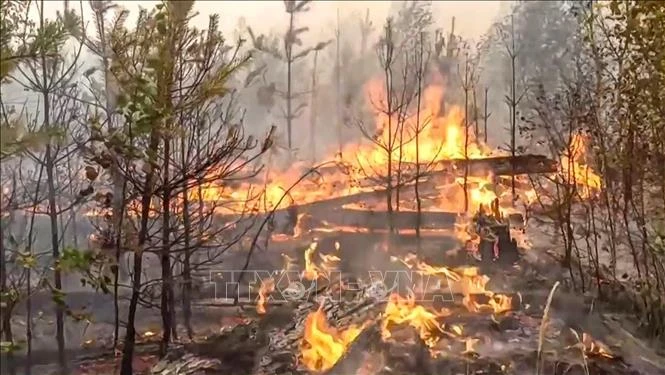 Cháy rừng lan rộng tại vùng Ryazan, ngoại ô Moskva, Nga, ngày 24/8/2022. (ảnh minh họa)