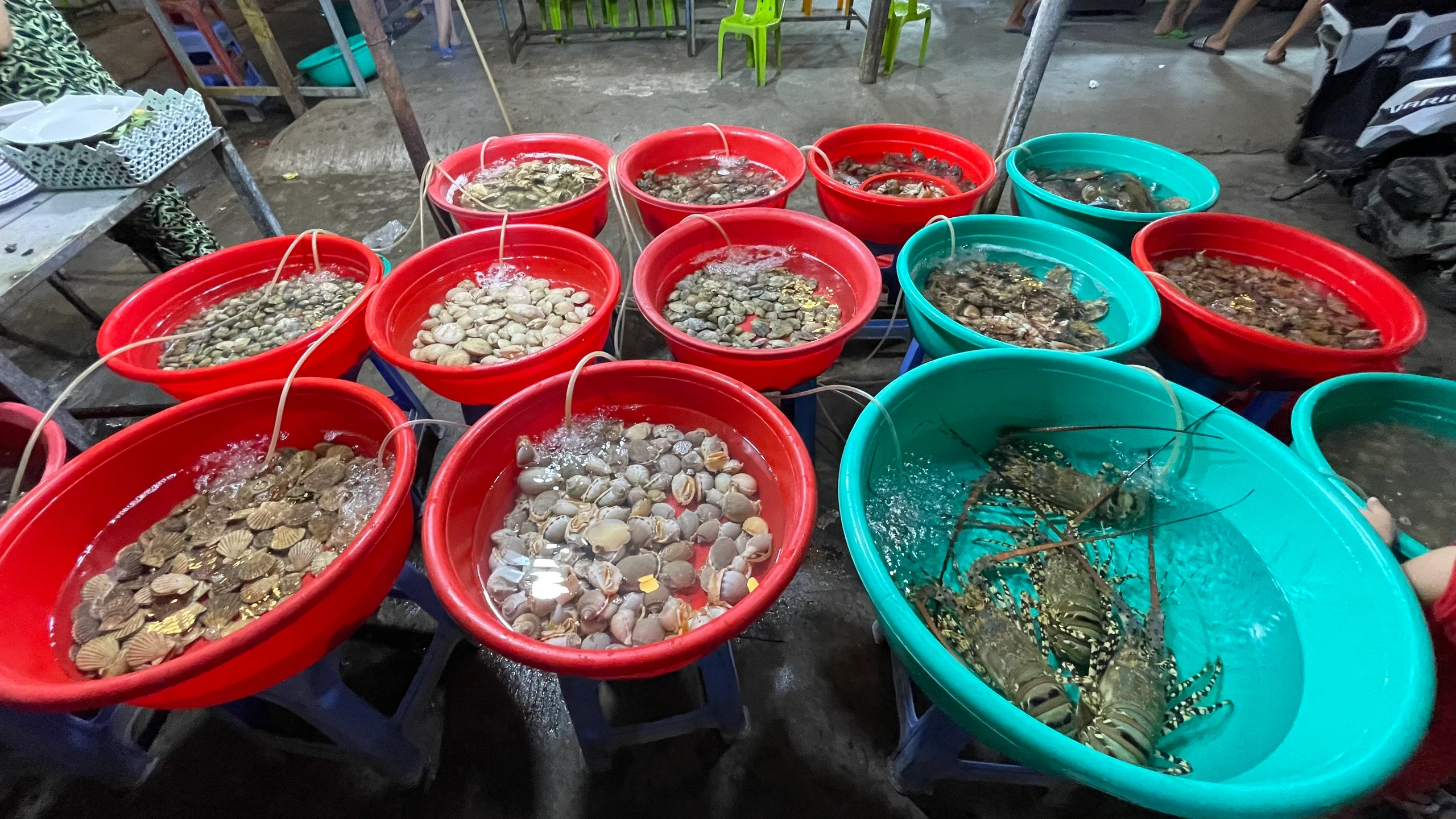 Đến với Cù Lao Chàm, là bạn đã đến với thiên đường hải sản tươi sống nhất nhì của dải đất hình chữ S.