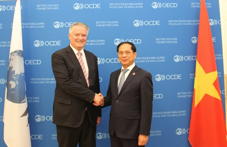 Bộ trưởng Ngoại giao Bùi Thanh Sơn tại cuộc gặp Tổng Thư ký OECD Mathias Cormann.