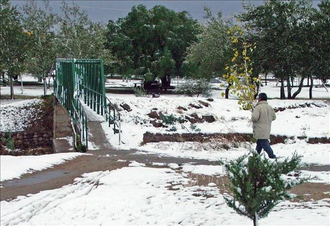 Tuyết phủ trắng xóa tại San Luis, Argentina. Ảnh tư liệu: AFP/TTXVN
