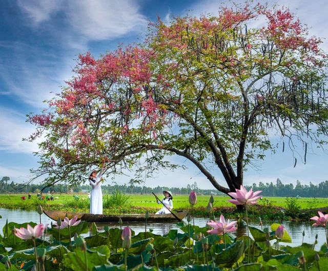 Tác phẩm "Bức tranh quê hương".