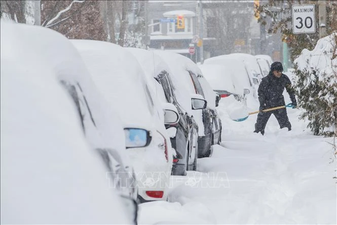 Các phương tiện bị tuyết phủ kín tại Montreal, tỉnh Quebec, Canada. Ảnh tư liệu: AFP/TTXVN