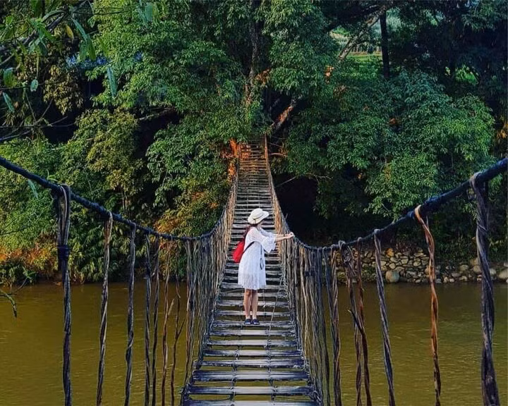 Cầu Mây Sa Pa - địa điểm check-in nổi tiếng của xứ sương mù - Ảnh: @hahadaynez