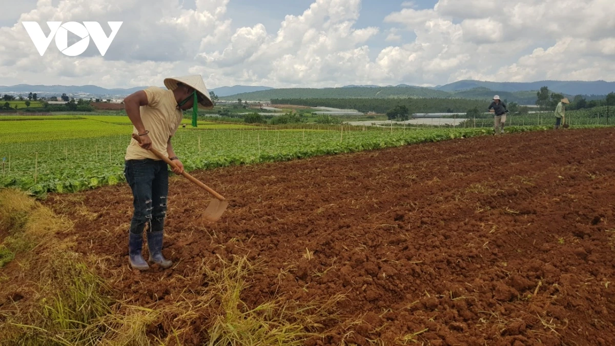 70% diện tích đất nằm trên địa hình đồi núi dốc, nên dễ bị xói mòn, rửa trôi (Ảnh: Nguyễn Quang)