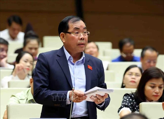 Đại biểu Quốc hội tỉnh Bình Dương Nguyễn Quang Huân phát biểu. Ảnh: Phạm Kiên/TTXVN