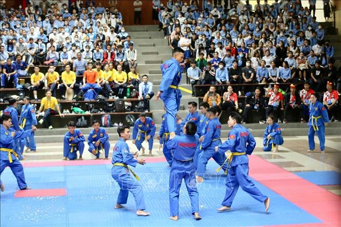 Tiết mục biểu diễn Vovinam - Việt Võ Đạo. Ảnh: TTXVN phát
