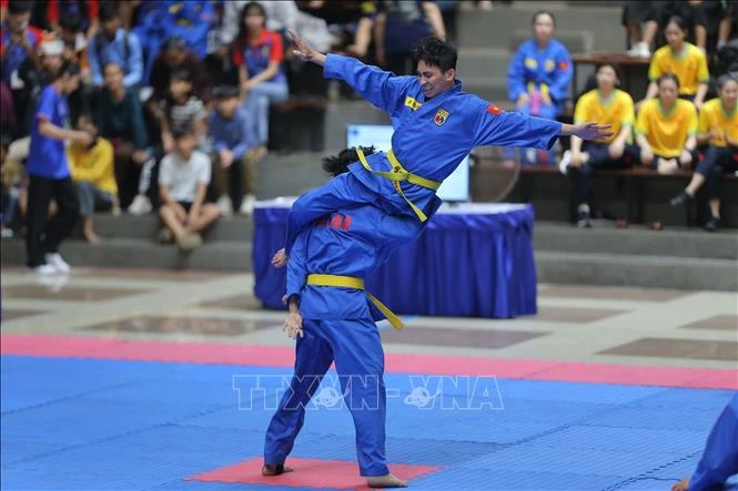 Tiết mục biểu diễn Vovinam - Việt Võ Đạo. Ảnh: TTXVN phát