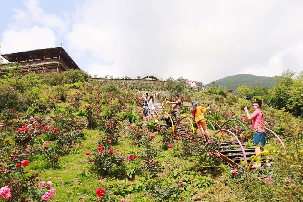 Du khách trải nghiệm vườn hồng mộng mơ Sa Pa. Ảnh: Đức Phương Du khách trải nghiệm vườn hồng mộng mơ Sa Pa. Ảnh: Đức Phương