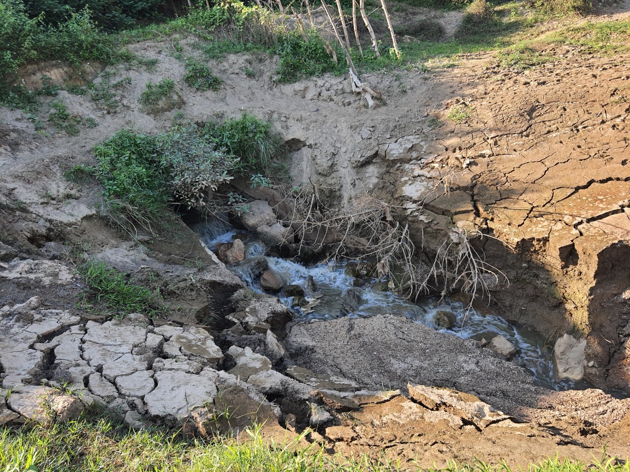 Xử phạt một công ty về hành vi xả nước thải không qua xử lý ra sông Hồng ảnh 1 Xử phạt một công ty về hành vi xả nước thải không qua xử lý ra sông Hồng ảnh 1