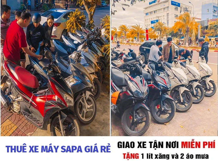 Dịch vụ cho thuê xe máy trên Sapa rất phát triển. Dịch vụ cho thuê xe máy trên Sapa rất phát triển.