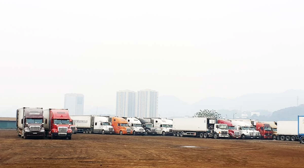 Khu kinh tế cửa khẩu Lào Cai, tỉnh Lào Cai được Thủ tướng Chính phủ đồng ý lựa chọn để tập trung đầu tư phát triển từ nguồn ngân sách Nhà nước giai đoạn 2021 - 2025.