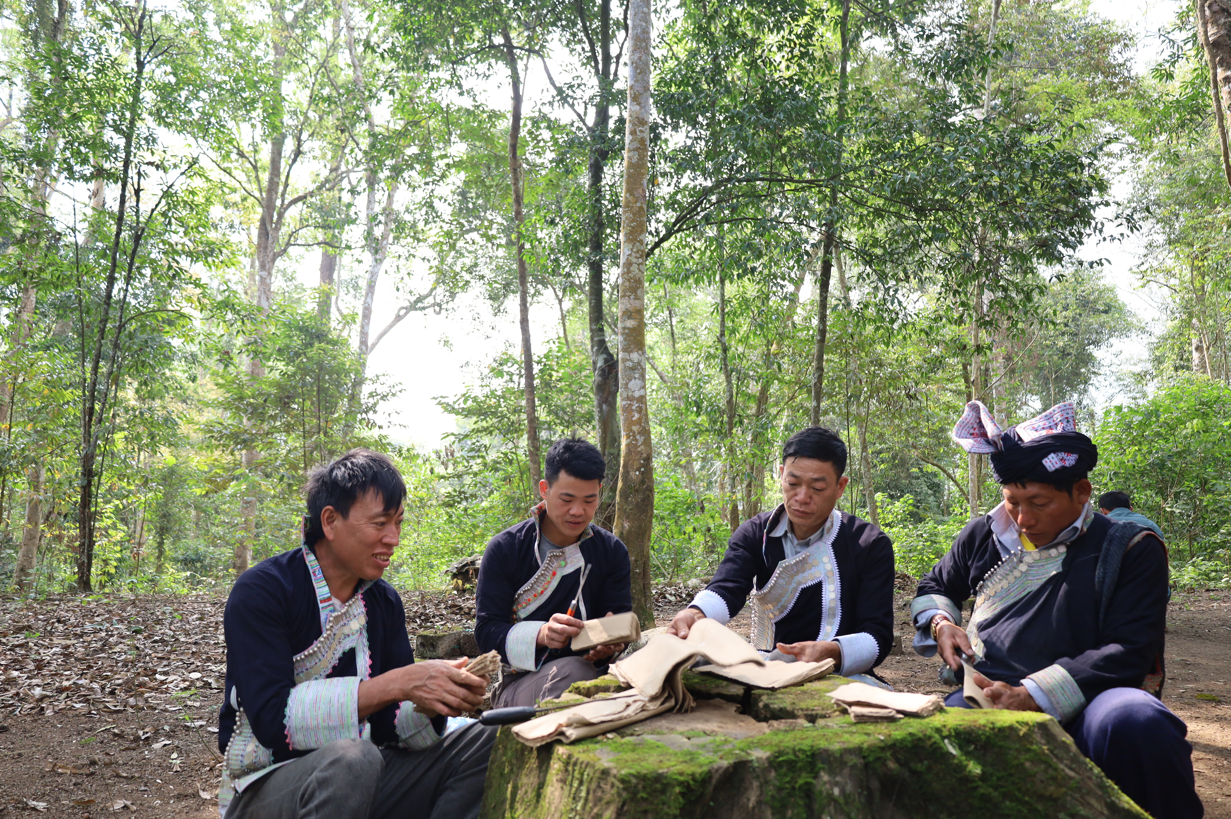 Giữ mãi cánh rừng xanh ảnh 3