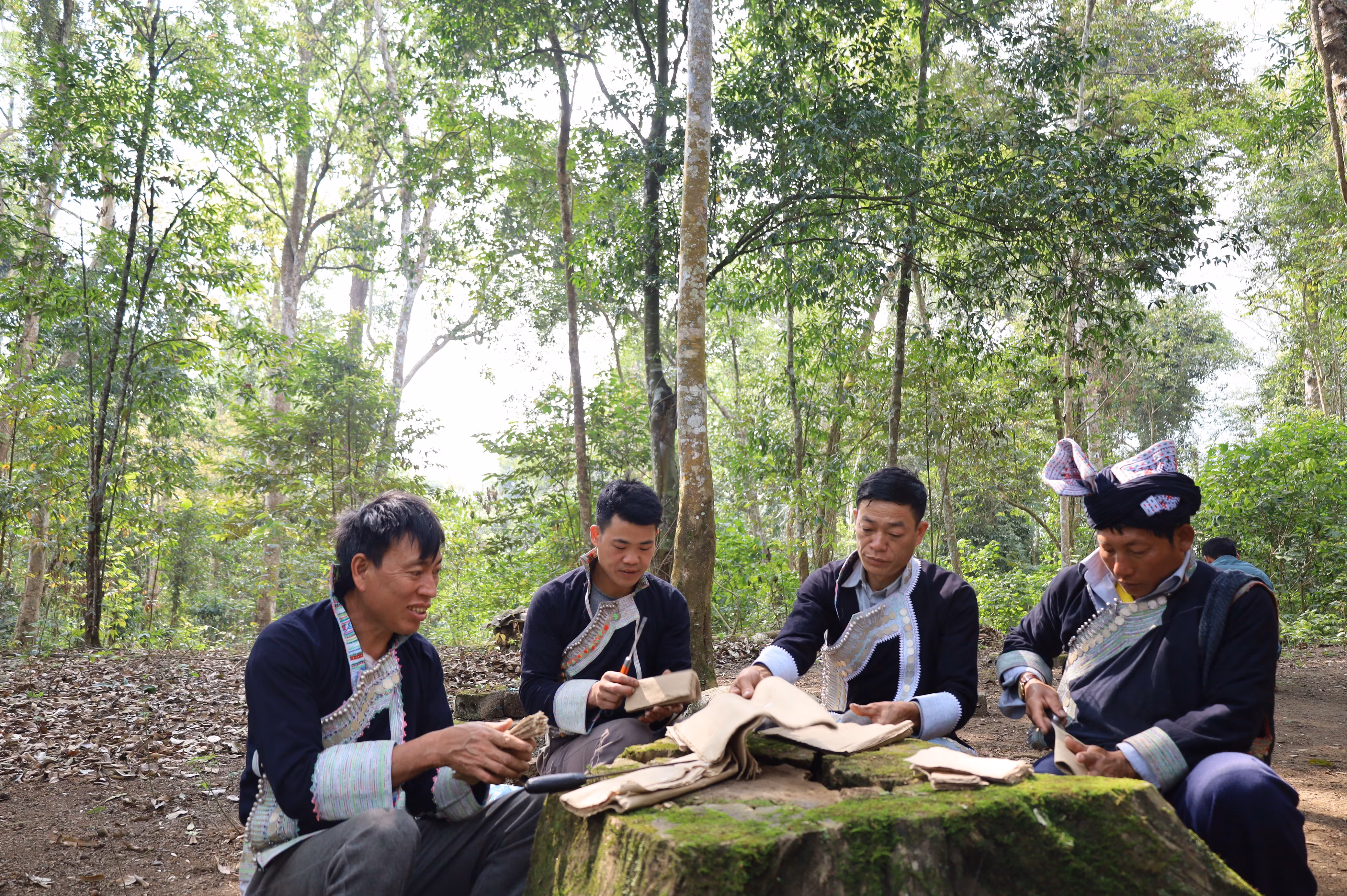 Giữ mãi cánh rừng xanh ảnh 3 Giữ mãi cánh rừng xanh ảnh 3