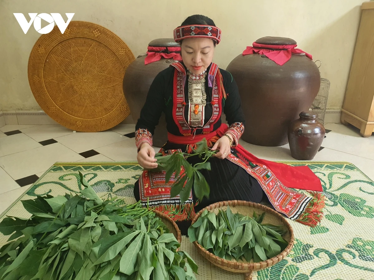 Rau sắn để muối chua bà con chỉ ngắt lấy phần ngọn non.