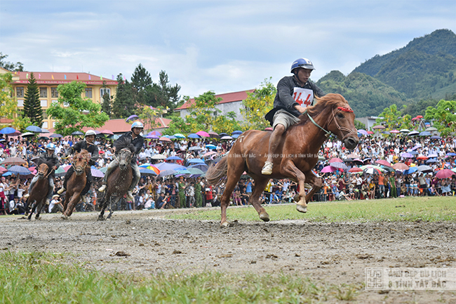 Các nghệ sỹ Lào Cai tham&nbsp;gia triển lãm ảnh nghệ thuật du lịch Tây Bắc&nbsp; ảnh 12