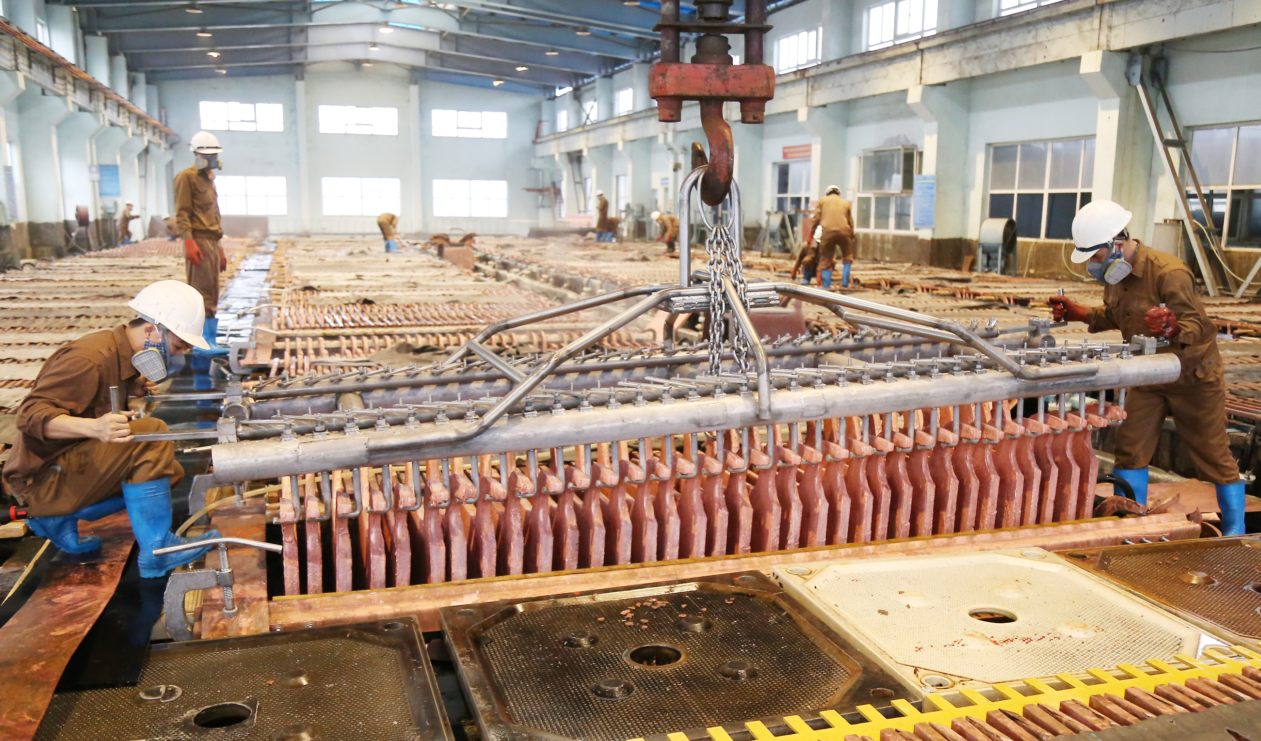 Nhiều doanh nghiệp sản xuất công nghiệp không nghỉ tết ảnh 2