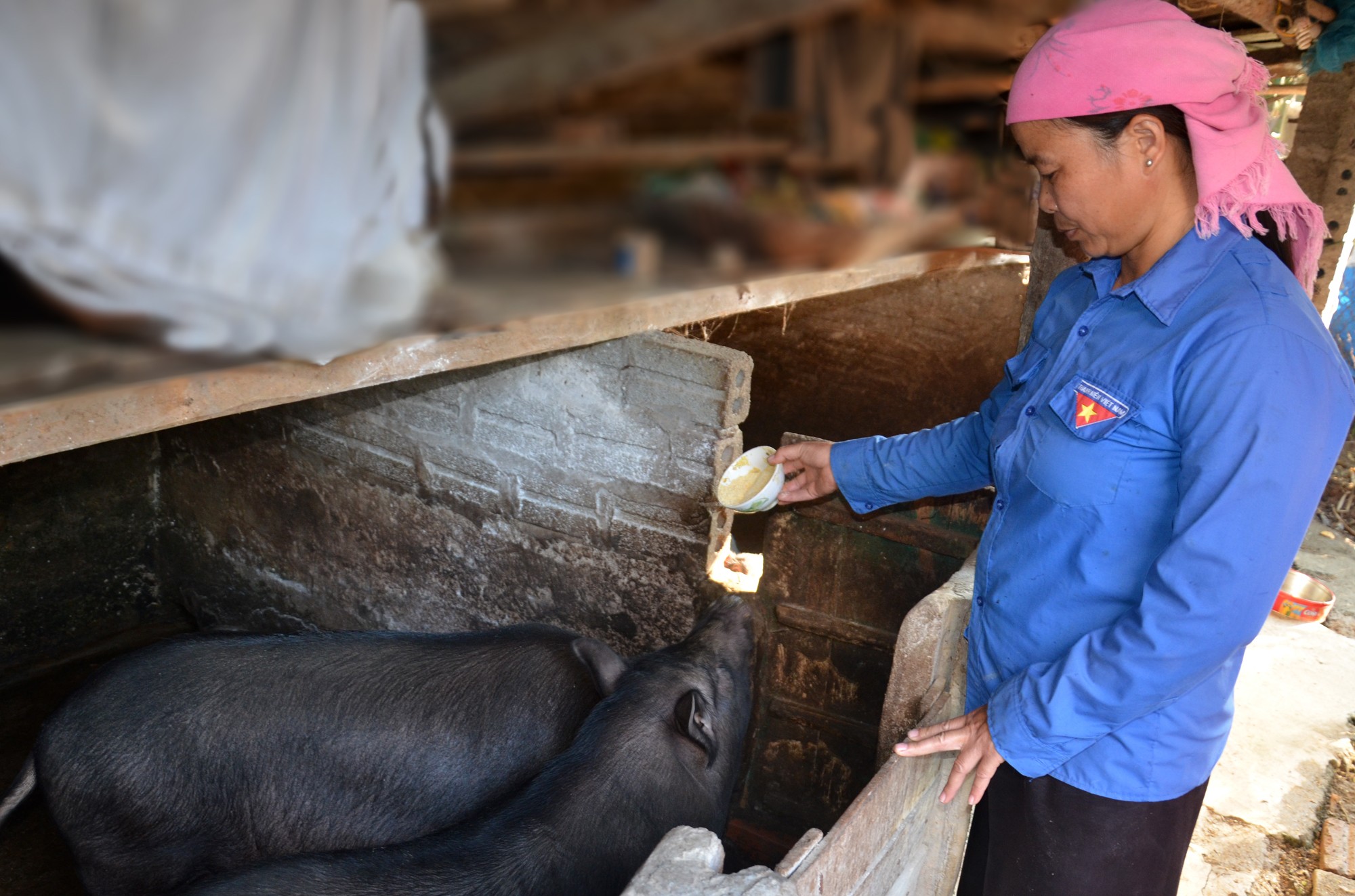 Phát huy tính tiền phong của đảng viên người dân tộc thiểu số ảnh 8 Phát huy tính tiền phong của đảng viên người dân tộc thiểu số ảnh 8