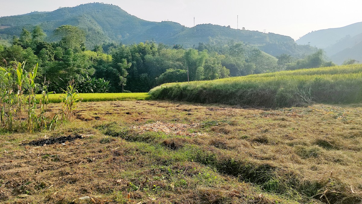 Thủy điện Bắc Cuông gây ảnh hưởng đất sản xuất của người dân ảnh 1 Thủy điện Bắc Cuông gây ảnh hưởng đất sản xuất của người dân ảnh 1