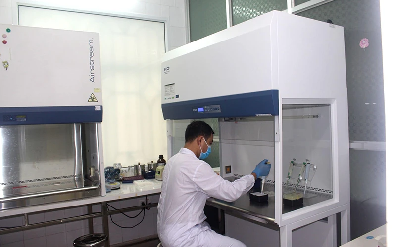 Gia Lai, Hải Dương phát hiện thêm ca nhiễm Covid-19 mới ảnh 1