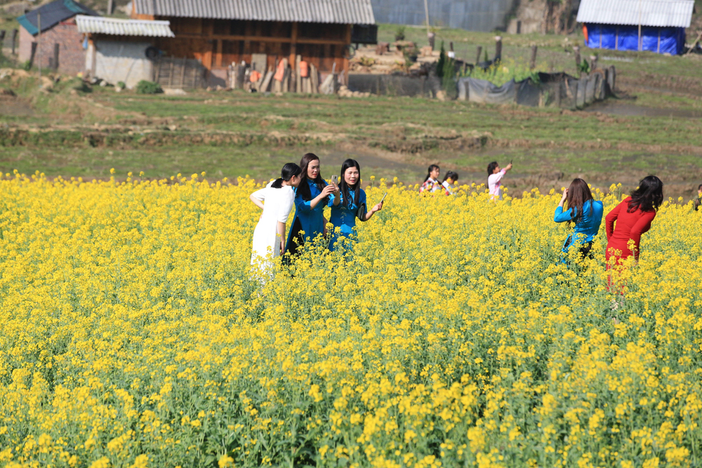 Ðến “Sa Pa - bay giữa mùa hoa” ảnh 1 Ðến “Sa Pa - bay giữa mùa hoa” ảnh 1