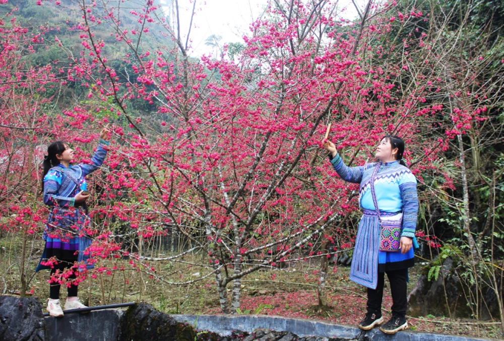 Nhiều bạn trẻ đến tham quan.