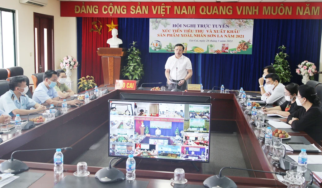 Lào Cai tham gia xúc tiến tiêu thụ và xuất khẩu sản phẩm xoài, nhãn Sơn La ảnh 1