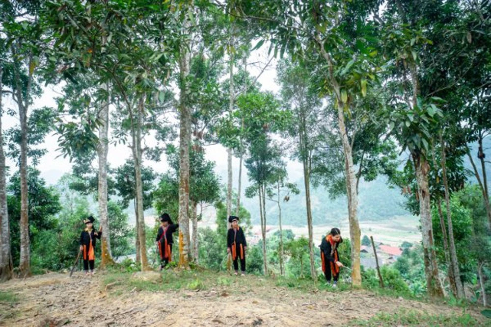 Quản lý vùng quế bằng công nghệ số ảnh 3