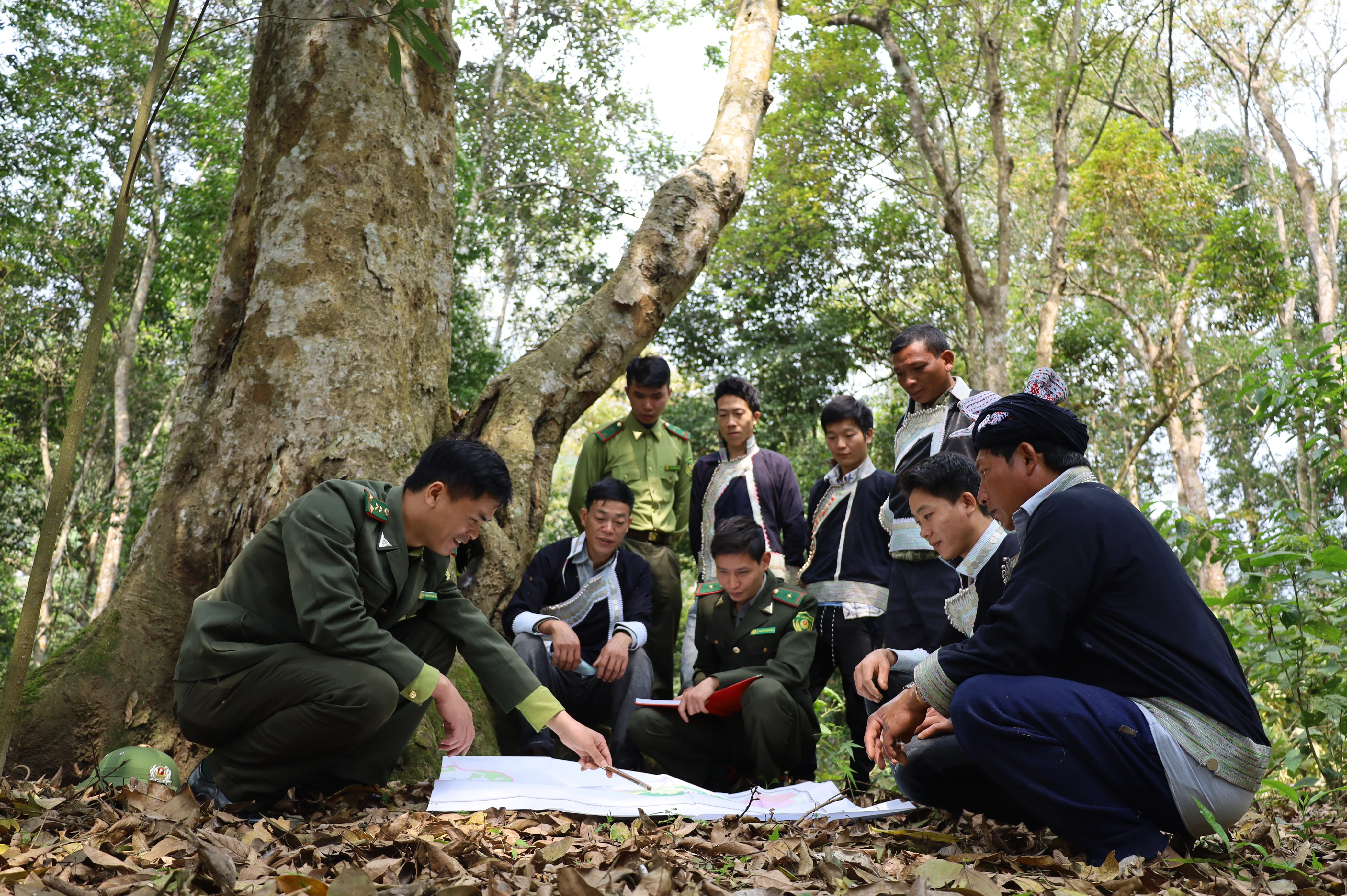 Giữ mãi cánh rừng xanh ảnh 10 Giữ mãi cánh rừng xanh ảnh 10