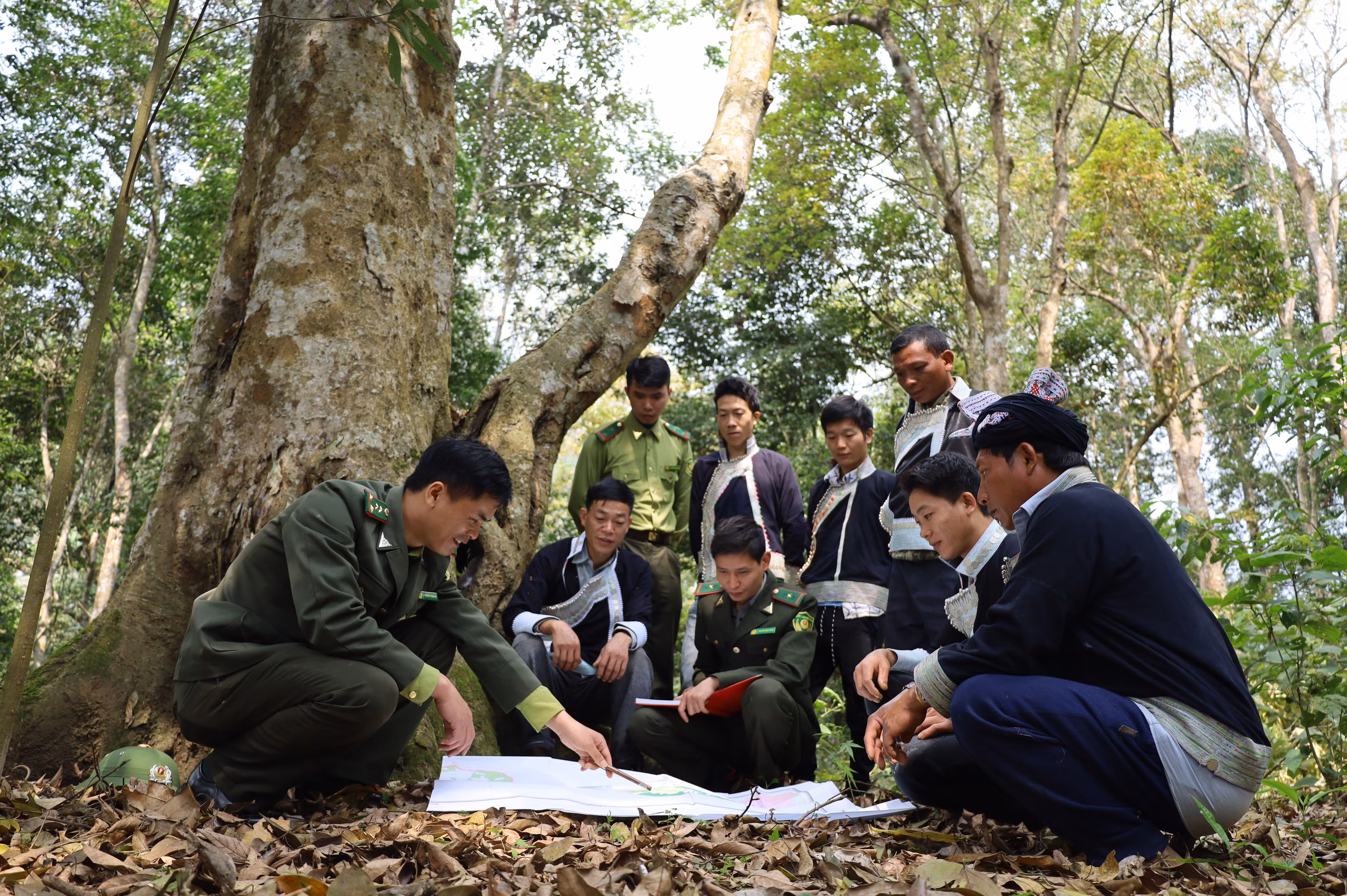 Giữ mãi cánh rừng xanh ảnh 10 Giữ mãi cánh rừng xanh ảnh 10