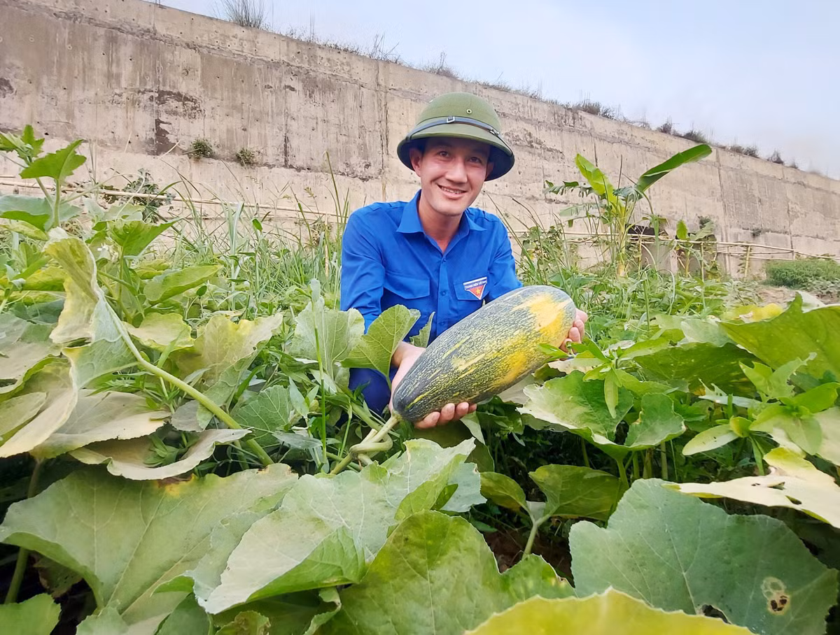 Anh Trịnh Văn Biên thu hoạch nông sản.