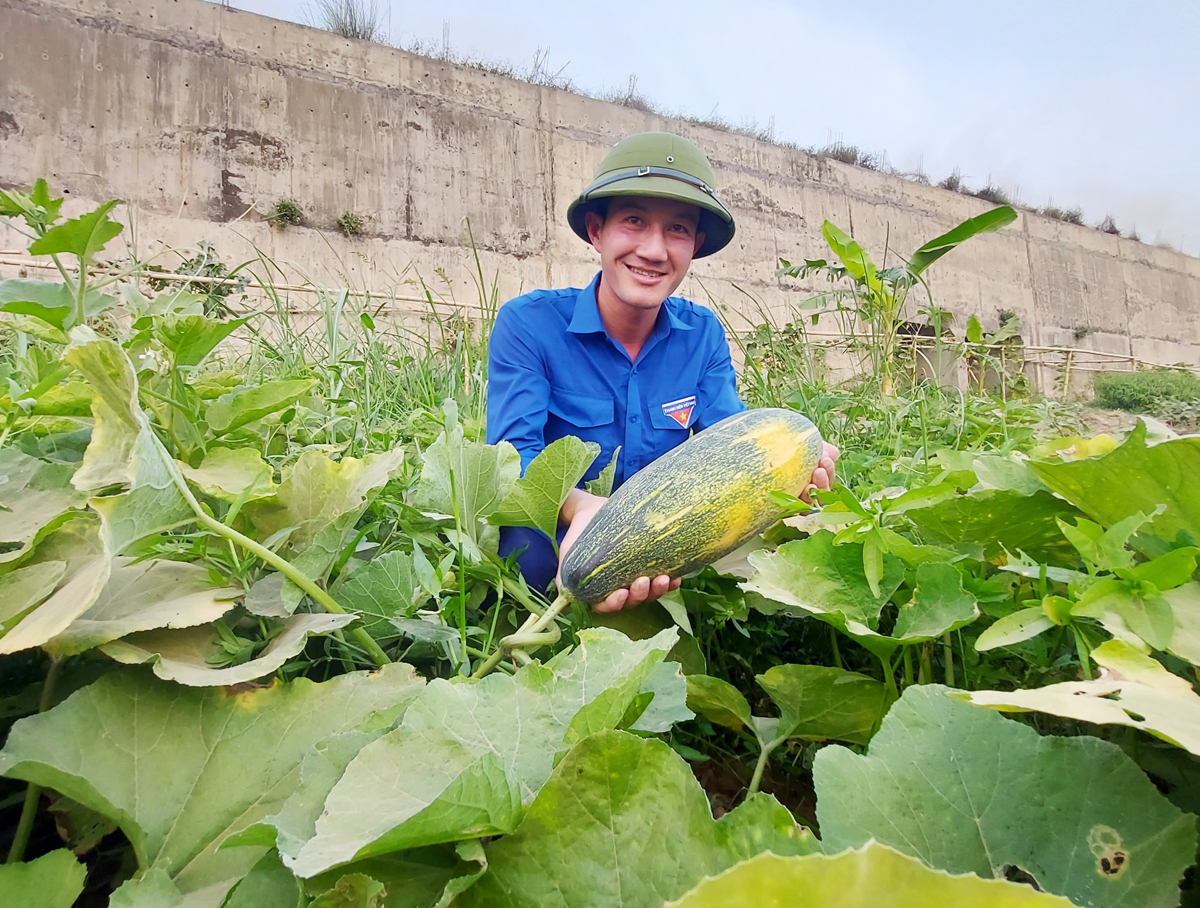 Anh Trịnh Văn Biên thu hoạch nông sản.