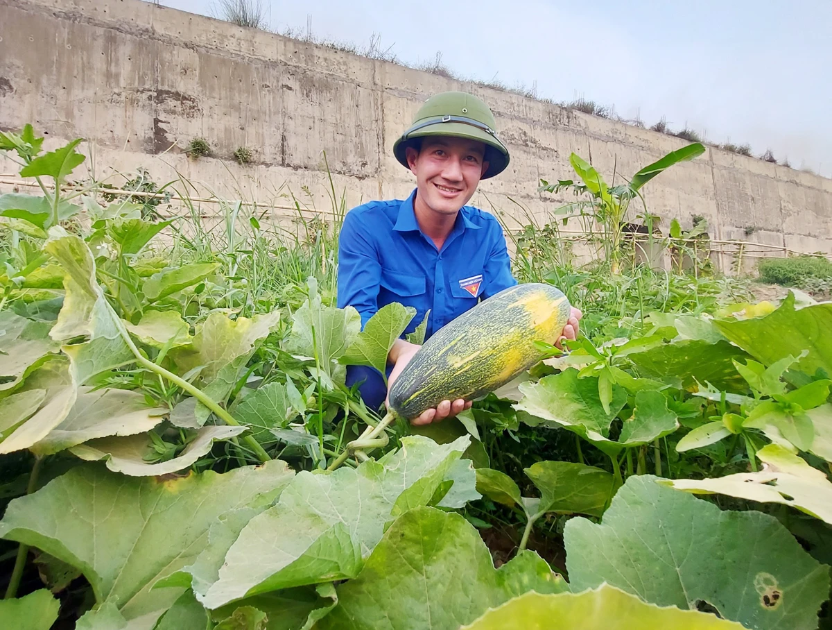 Anh Trịnh Văn Biên thu hoạch nông sản.